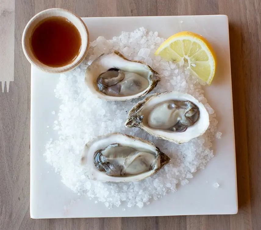 oysters